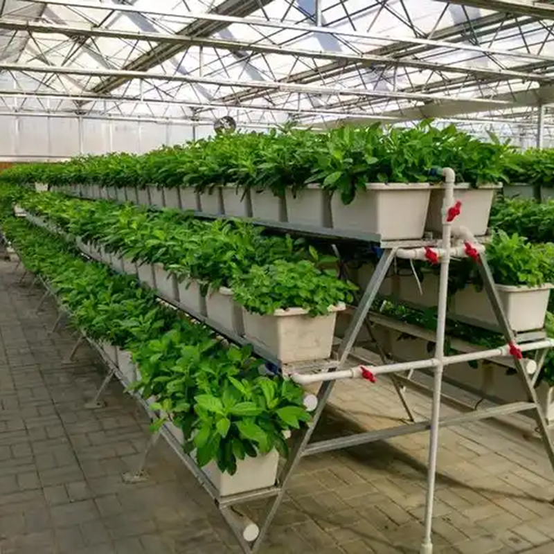 南京市植物工厂气雾培 - 厂家