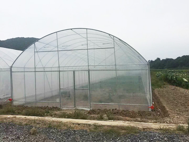 南京市薄膜大棚植物工厂 - 哪里好